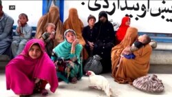  د خوړو نړيوالې ادارې له پاکستانه د ستنېدونکو افغان کډوالو لپاره د مرستو غږ کړی
