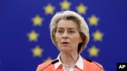 European Commission President Ursula von der Leyen (file photo)