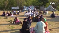 پي او ار کارډ کې ستونزو د افغان کډوالو ژوند ګران کړی دی
