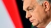 Despite not getting quite what he wanted, the whole affair has been a boost for Brand Orban. 