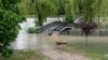 У Малому Салгирі, правій притоці Салгира, рівень води теж сильно піднявся