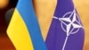 Многие на Украине надеются, что отмена внеблокового статуса страны станет шагом на пути к интеграции в НАТО