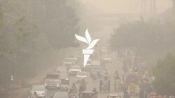 لوګجنې لړې په لاهور کې سلګونه کسان ناروغه کړي دي
