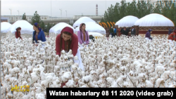 Türkmen metbugaty sowet ýyllaryndan gelýän 'bagtly pagtaçylar' wagzyny dowam etdirýär.