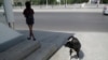 Garaşsyzlygyň öňýany Aşgabatda öýsüz haýwanlar tutulýar