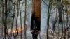 Pădure incendiată la est de Moscova