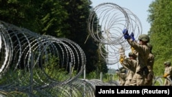 Lithuanian soldiers install razor wire on their country's border with Belarus to help keep out illegal migrants in July 2021.