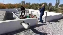В Кашкадарье автобус с итальянцами застрял на дороге из-за отсутствия дизельного топлива