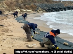 Співробітники рятувальної служби Севастополя встановлюють на узбережжі перешкоди для мазуту з російських танкерів, які зазнали аварії в Керченській протоці, 17 січня 2025 року