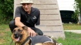 Ukrainian Amputee Veteran Finds Solace In Caring For Dogs GRAB