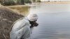 د بلوچستان و پښتونخوا د اوبو سرچینو په اړه مرکه
