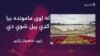 د باجوړ له ماموندو څخه لسګونه نورو کورنیو کډې کړې دي