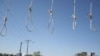 Tehran Spares Life Of Hanging Survivor
