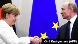 Russian President Vladimir Putin (right) shakes hands with German Chancellor Angela Merkel at a meeting in Sochi earlier this year.