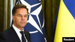 Mark Rutte